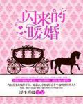 閃來的暖婚
