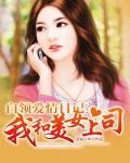 白領愛情日記：我和美女上司