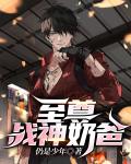 至尊戰神奶爸