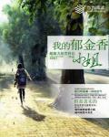 我的鬱金香小姐