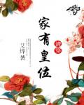 家有皇位（清穿）