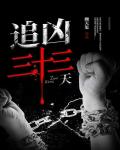 追兇三十三天