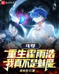 斗羅:重生霍雨浩,我真不是魅魔