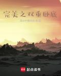 完美之雙重卧底