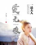 愛無痕·一品夫人