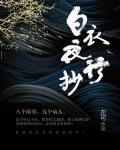 白衣夜行抄
