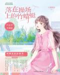 落在操場上的竹蜻蜓