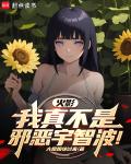 火影：我真不是邪惡宇智波！