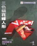 三色貓花嫁人形