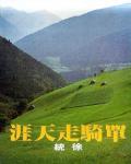 單騎走天涯