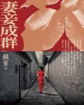 妻妾成群