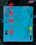 雲夢城之謎